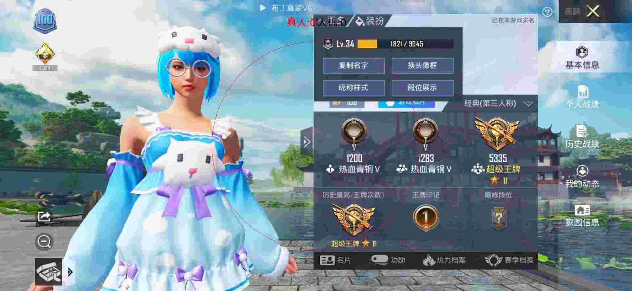 和平精英布丁直装透视 - 和平辅助店卡包效果图大全高清辅助预览图